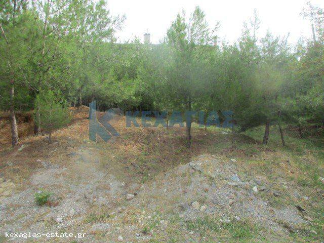 ΕΞΩΤΕΡΙΚΗ ΛΗΨΗ