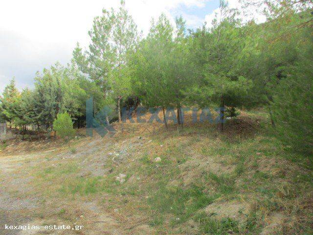 ΕΞΩΤΕΡΙΚΗ ΛΗΨΗ