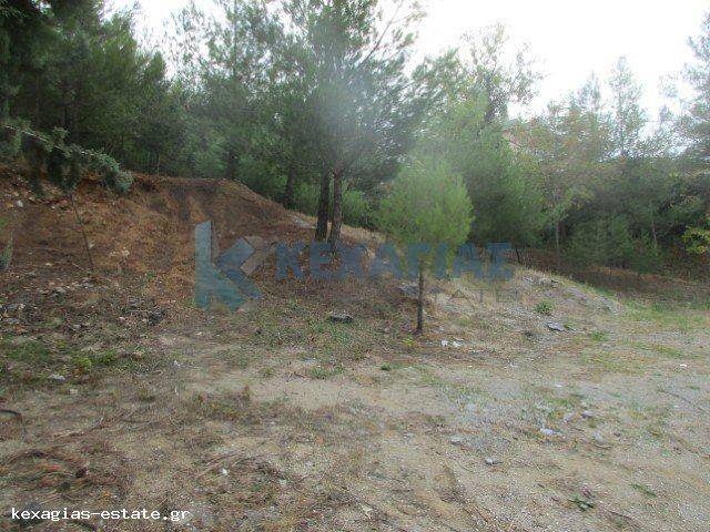 ΕΞΩΤΕΡΙΚΗ ΛΗΨΗ