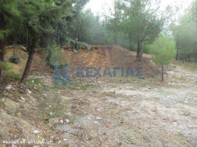 ΕΞΩΤΕΡΙΚΗ ΛΗΨΗ