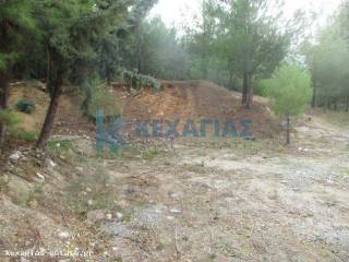 ΕΞΩΤΕΡΙΚΗ ΛΗΨΗ