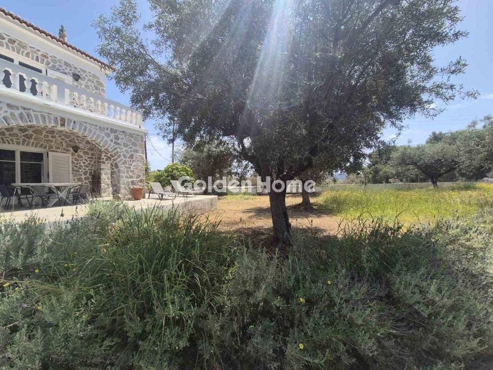 Ανελκυστήρας