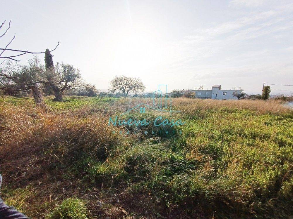 Άποψη χώρου