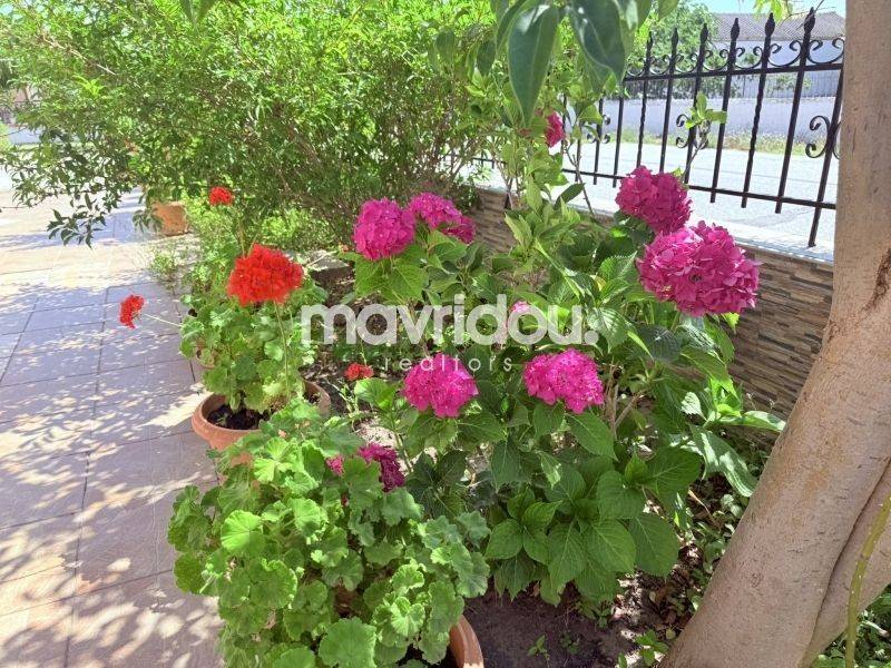 Ύπαρξη ανθρώπου