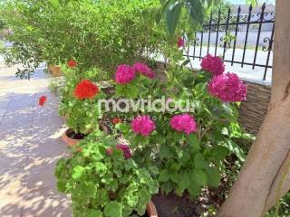 Ύπαρξη ανθρώπου