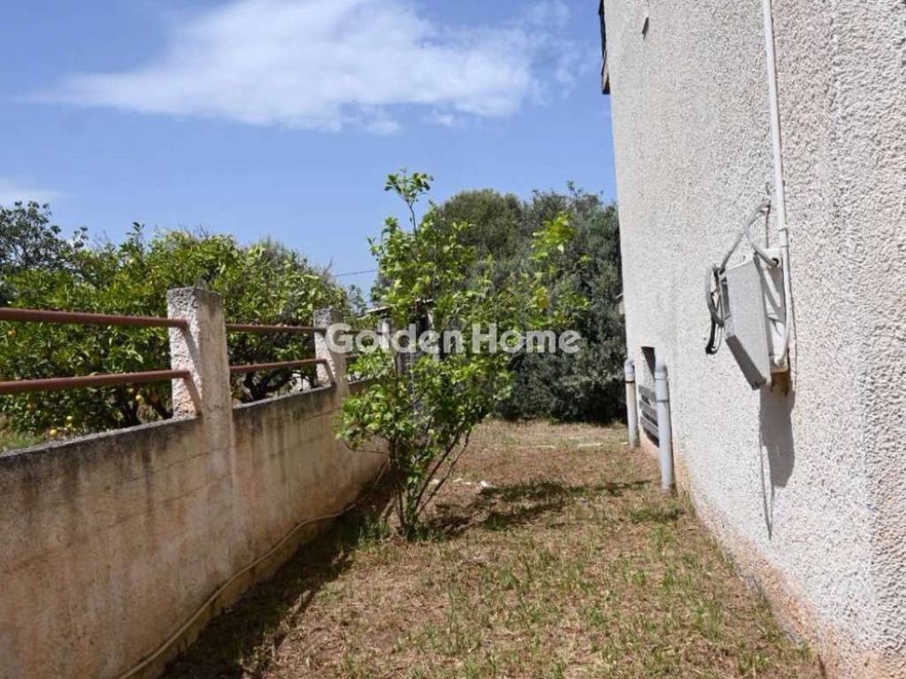 Εξωτερικός Χώρος