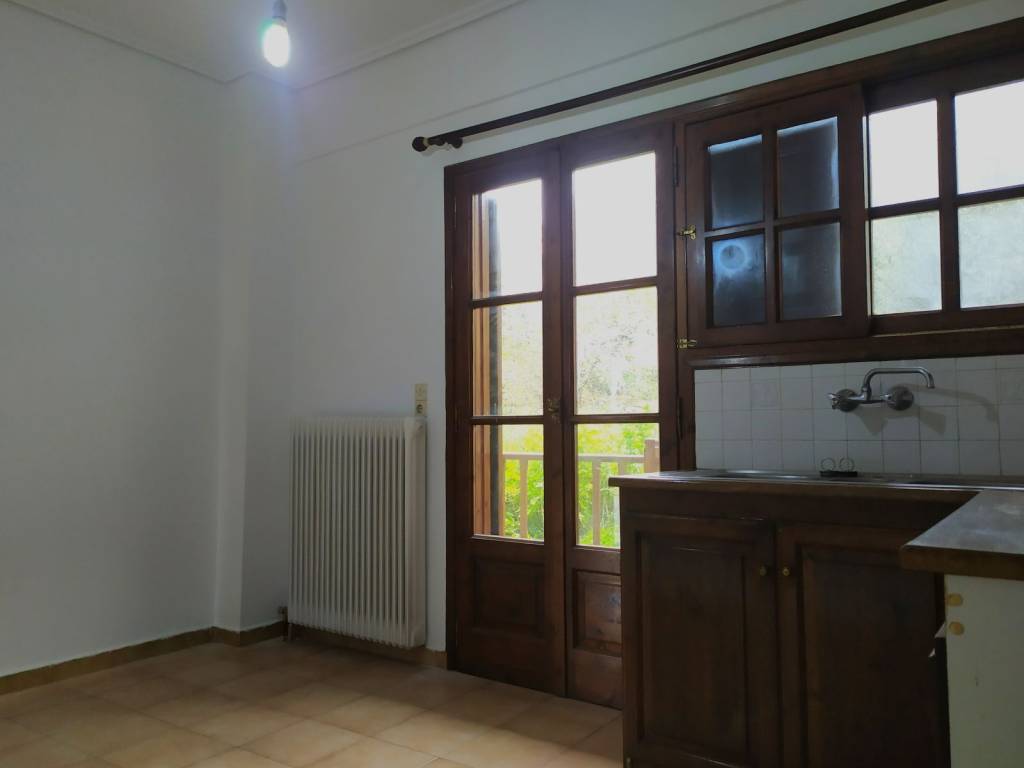 PHOTEINE KOYZINA ME MPALKONOPORTA