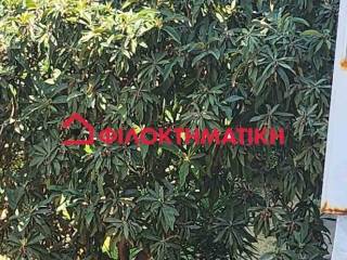 Ύπαρξη ανθρώπου