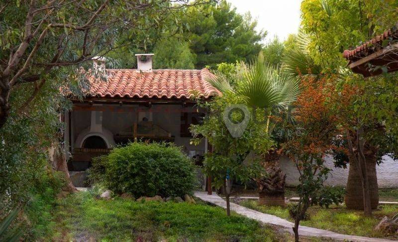 Εξωτερικός χώρος