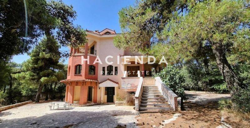 Εξωτερικός χώρος