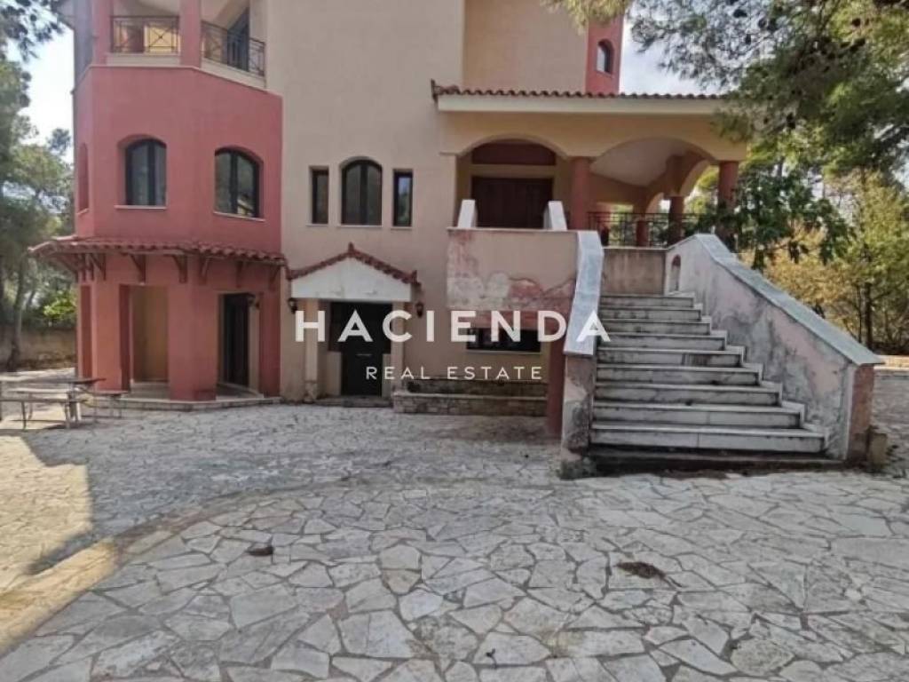 Εξωτερικός χώρος