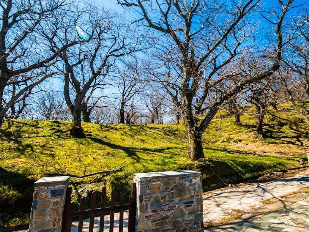 Εξωτερικός χώρος