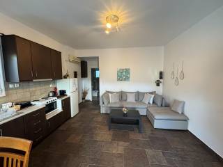 Apartment: kitchen and living area