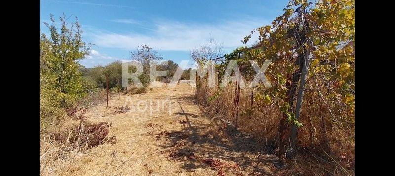 Καλλιεργήσιμη Γη 4ο Επιπέδου