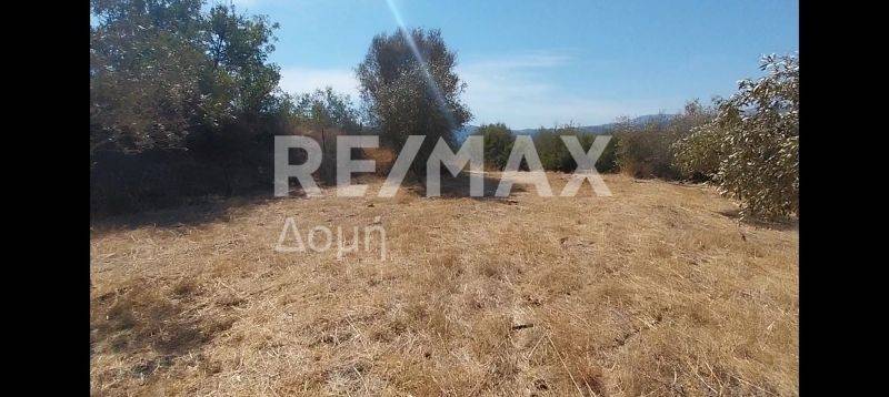 Καλλιεργήσιμη Γη 4ου Επιπέδου