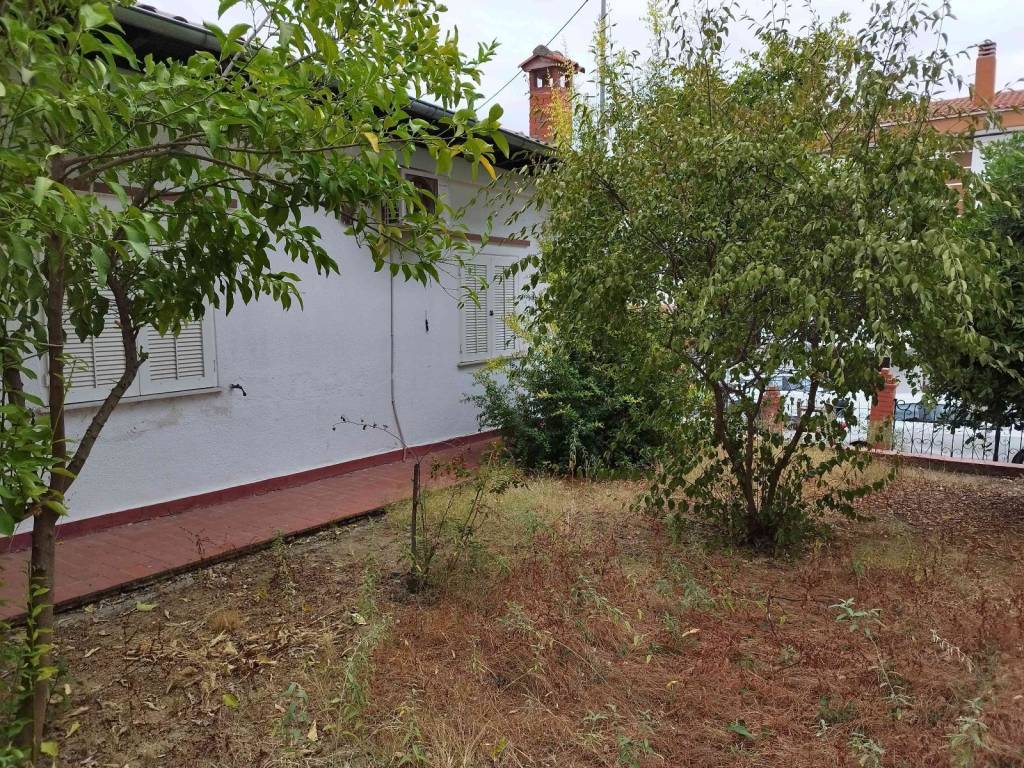 πλαϊνή πλευρά