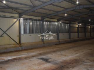 ΑΠΟΨΗ ΑΠΟΘΗΚΗΣ