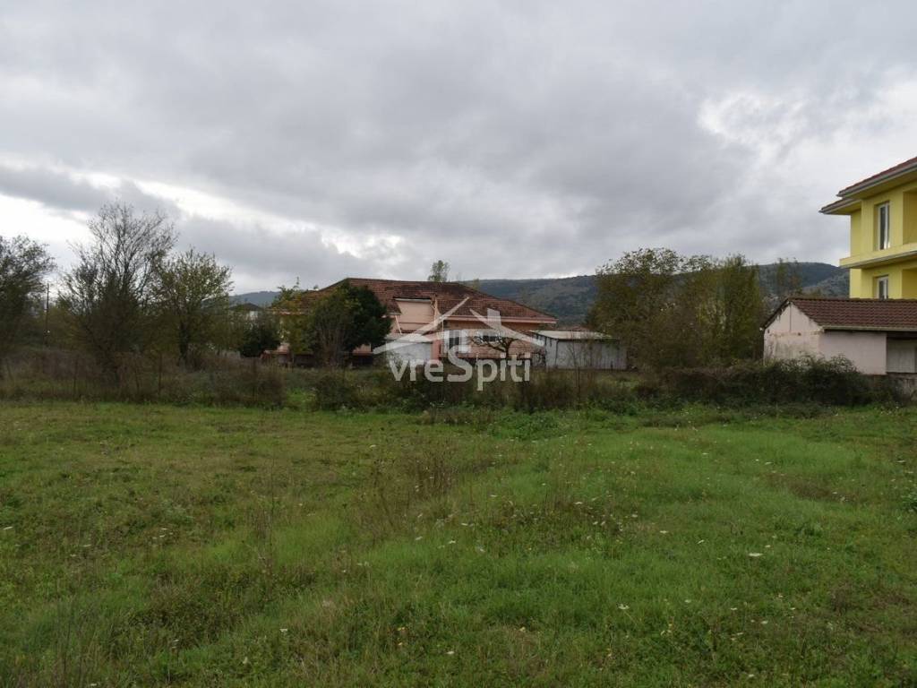 ΑΠΟΨΗ ΟΙΚΟΠΕΔΟΥ