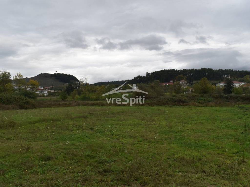 ΑΠΟΨΗ ΟΙΚΟΠΕΔΟΥ