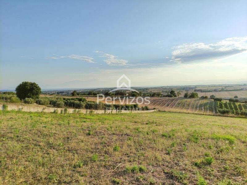 Άποψη χώρου