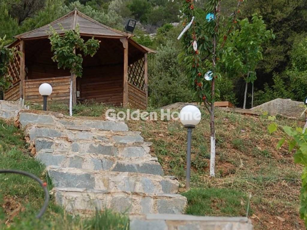 Ανελκυστήρας