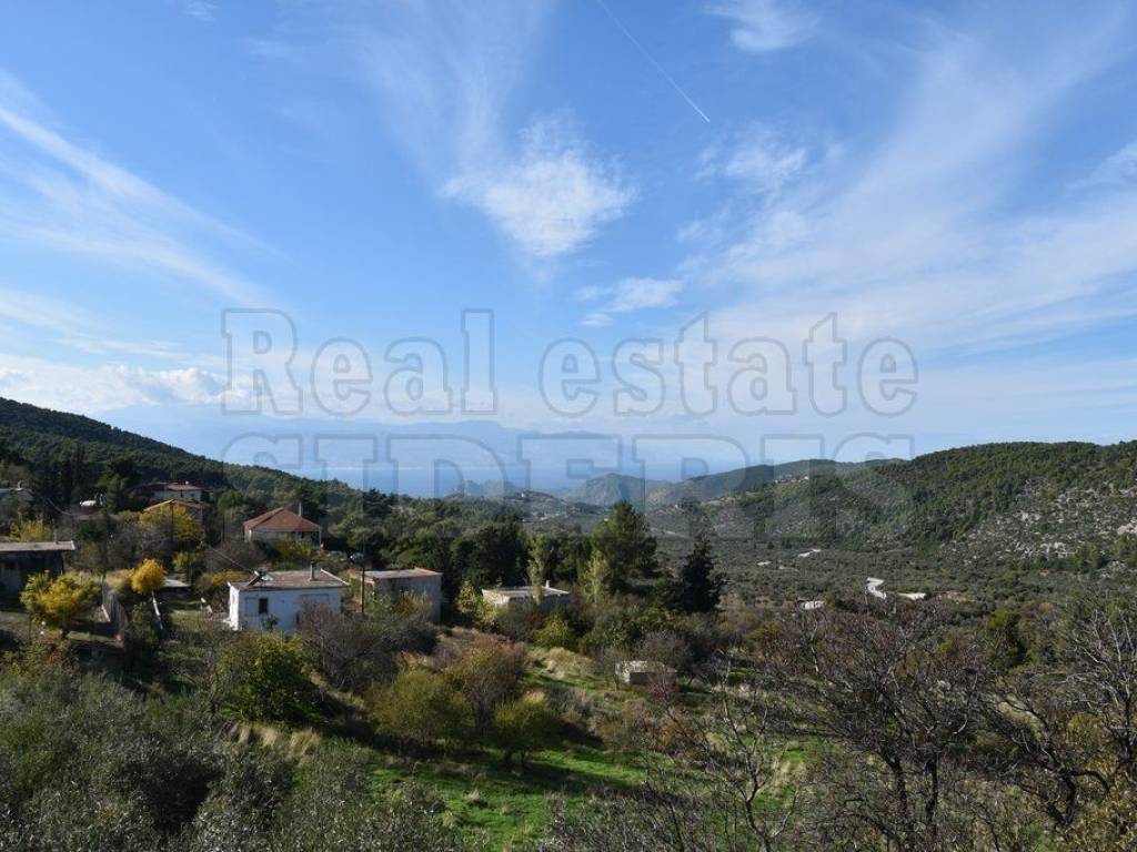 ΘΕΑ ΘΑΛΑΣΣΑ