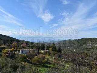 ΘΕΑ ΘΑΛΑΣΣΑ