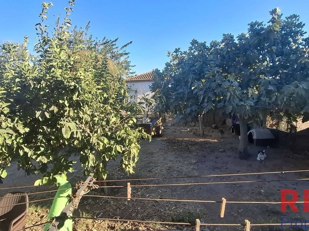 Εξωτερικοι χώροι