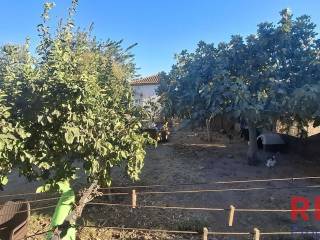 Εξωτερικοι χώροι