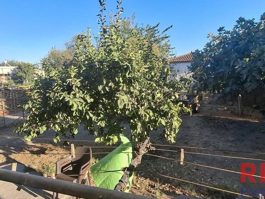 Εξωτερικοι χώροι