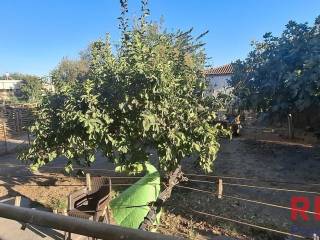 Εξωτερικοι χώροι