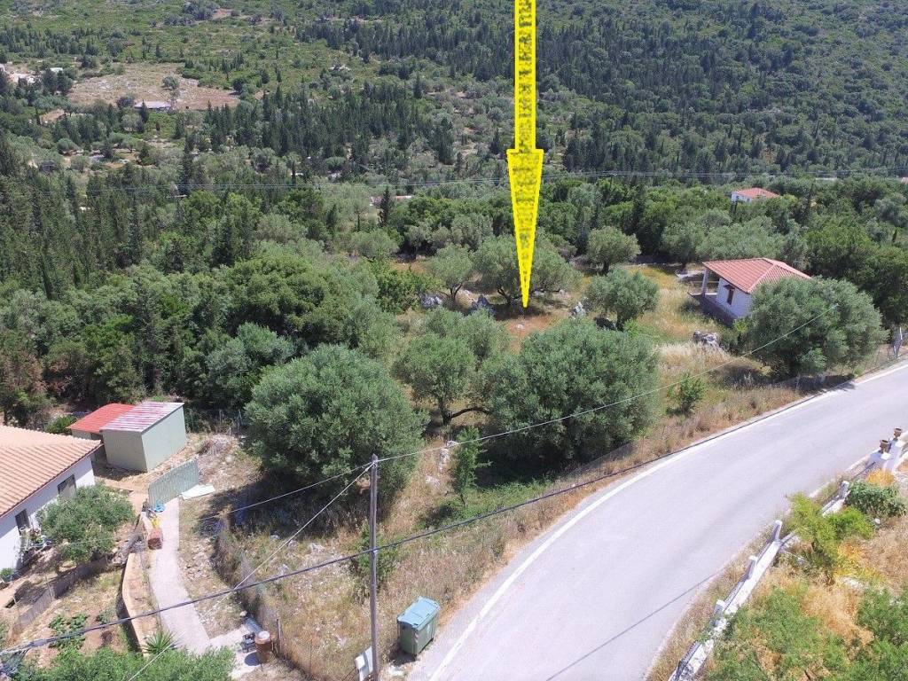 Aerial view and location of the plot