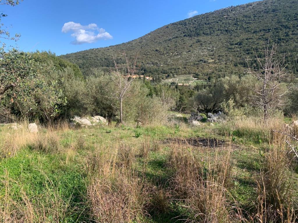 Terrain and landscape