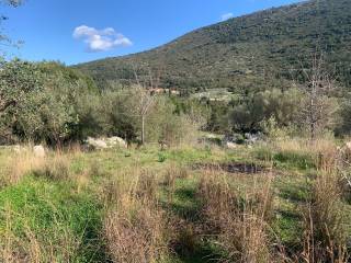 Terrain and landscape