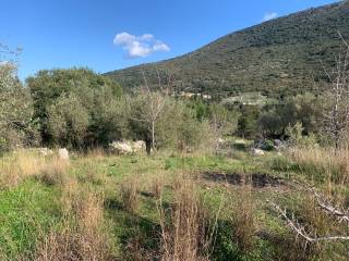 Terrain and landscape