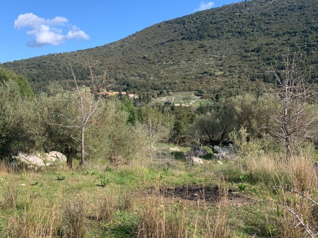 Terrain and landscape