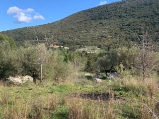 Terrain and landscape