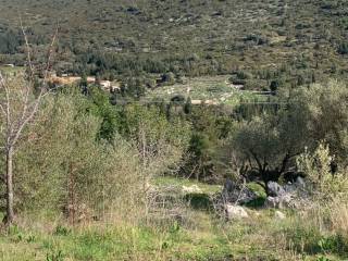 Terrain and landscape