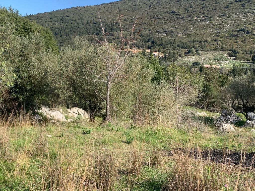 Terrain and landscape