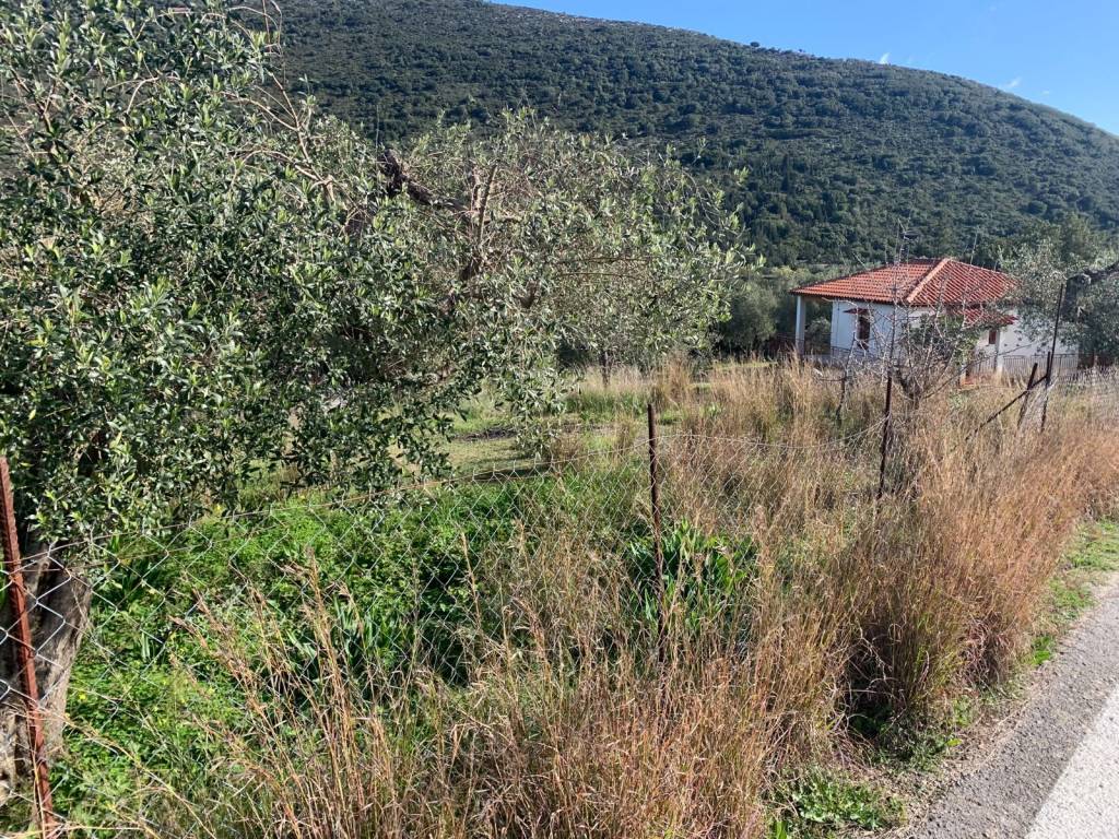 Road view of the plot