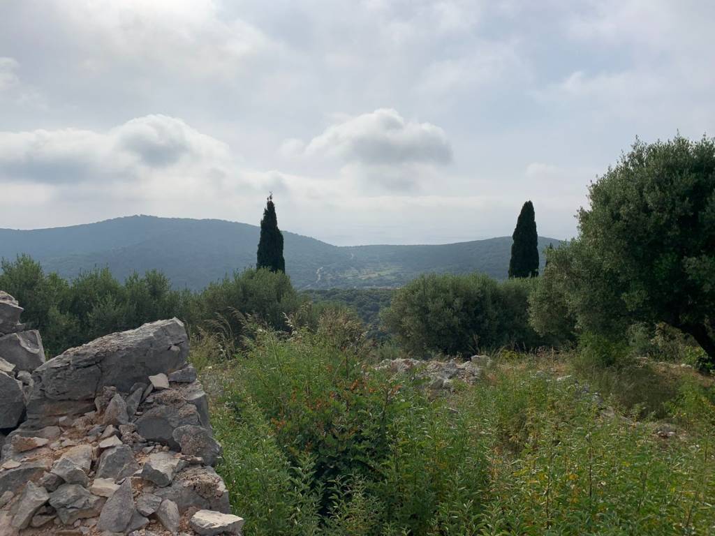 Terrain and landscape