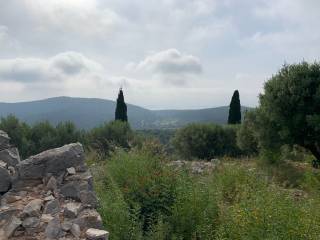 Terrain and landscape