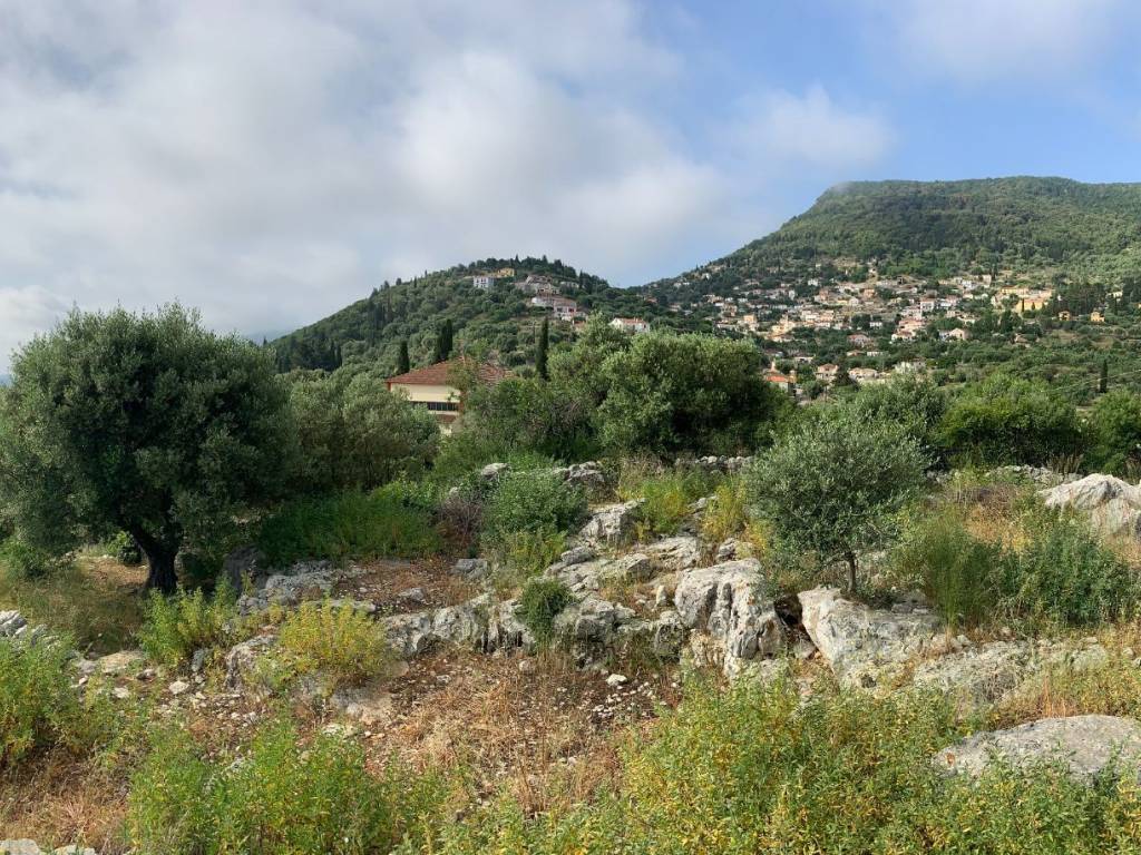 Terrain and landscape