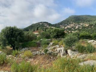 Terrain and landscape