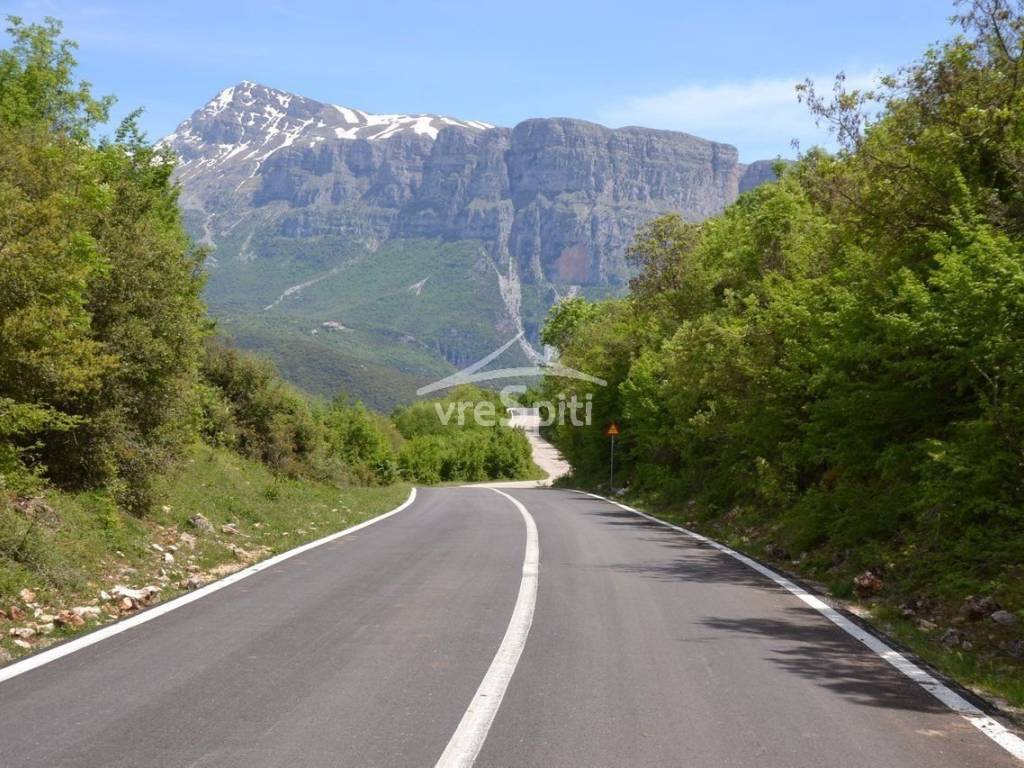 ΑΠΟΨΗ ΖΑΓΟΡΙΟΥ