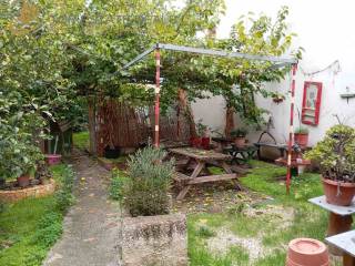 Apopse idiotikoy kepoy