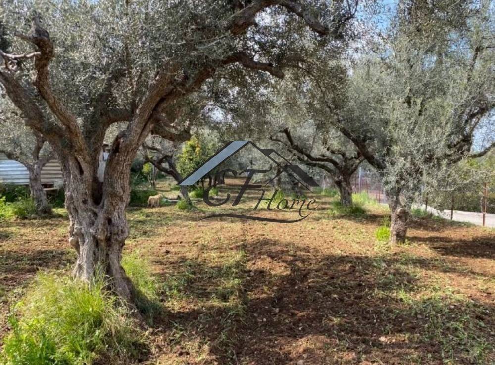 Άποψη οικοπέδου