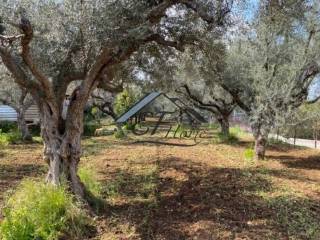 Άποψη οικοπέδου