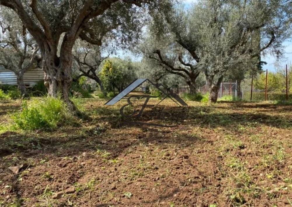 Άποψη οικοπέδου