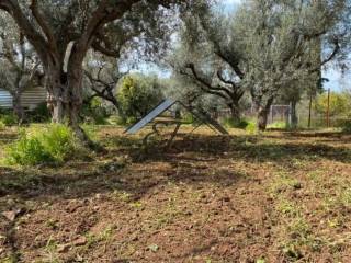 Άποψη οικοπέδου